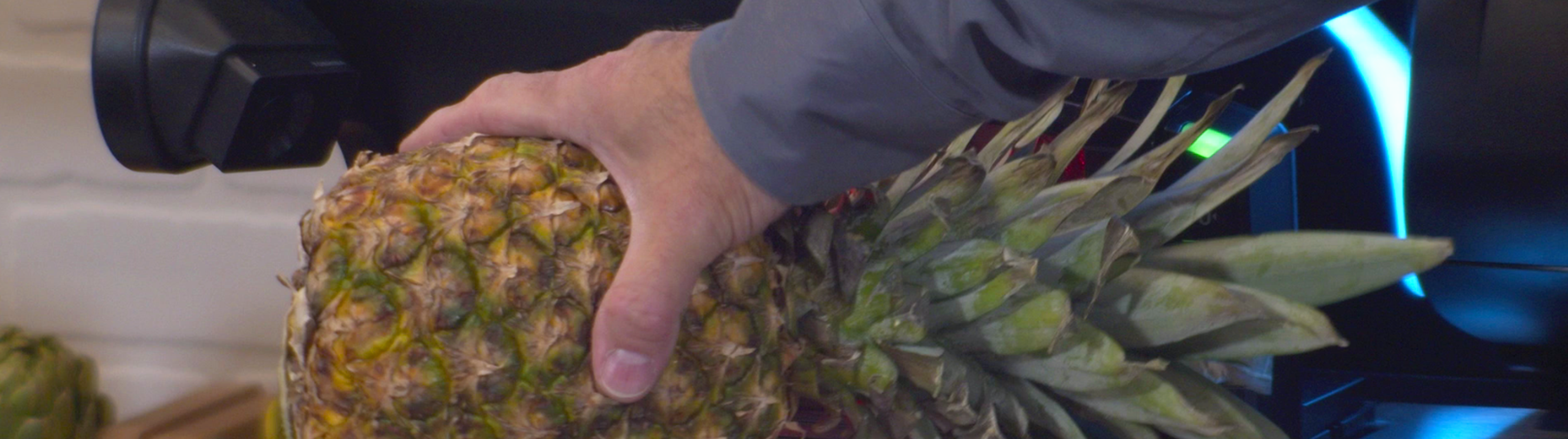 Pineapple produce recognition